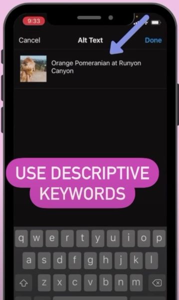 SEO Optimization for Instagram