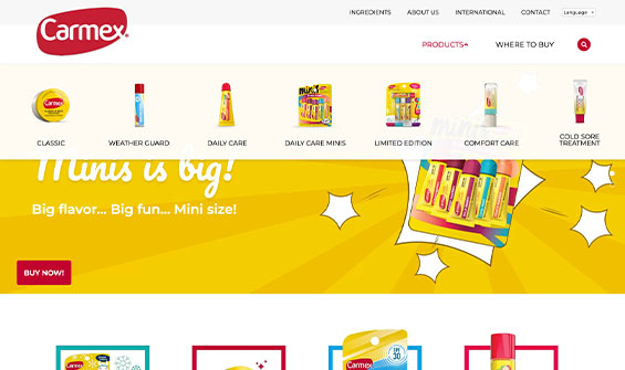 Custom Web Design for Carmex Website 01