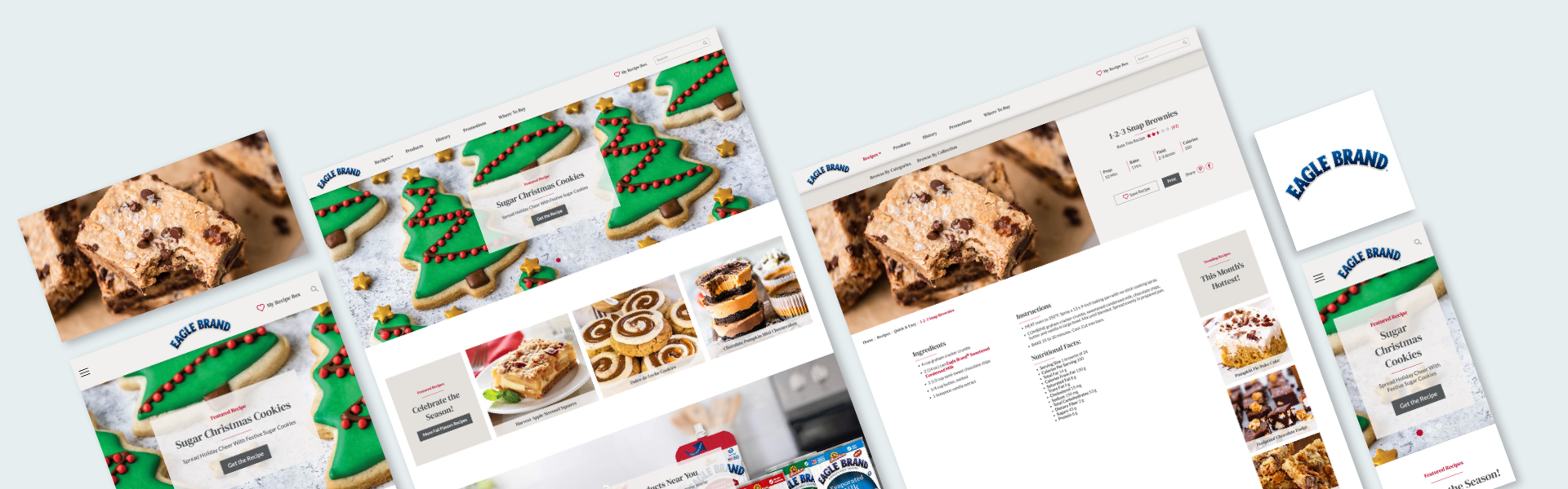 Eagle Brand Website Design Case Study 01