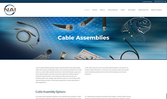 NAIGroup Website Design1