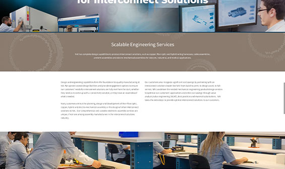 NAIGroup Website Design2