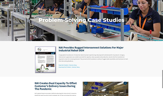 NAIGroup Website Design4