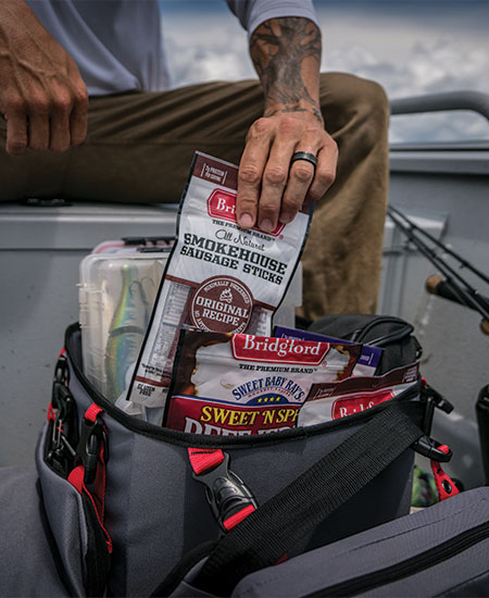 Custom Web Design for Bridgford Website Project