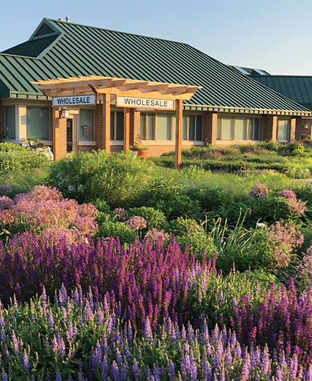 Midwest Groundcover Featured