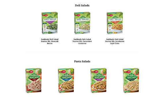 SuddenlySalad Website Design3